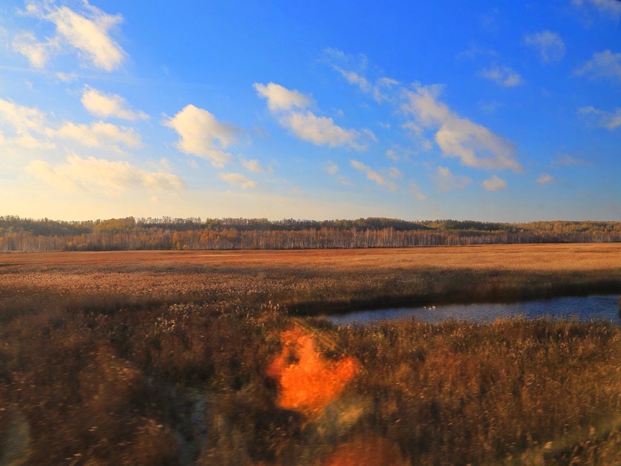 Paysage de plaine sibérienne vu depuis le train