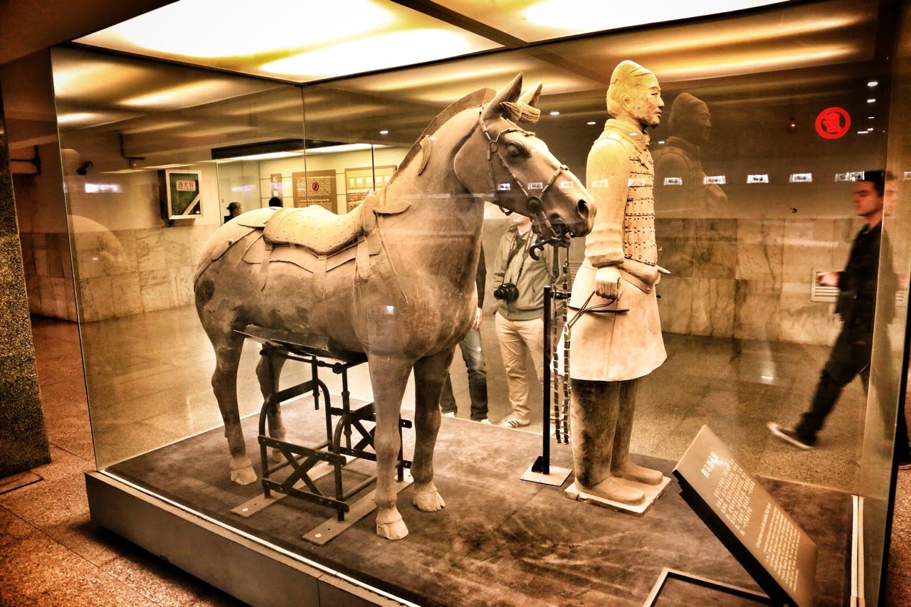 Cavalier et son cheval en terre cuite exposés en vitrine