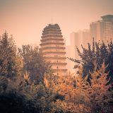 La Petite pagode de l’oie sauvage entre les arbres d’automne, à Xi’an