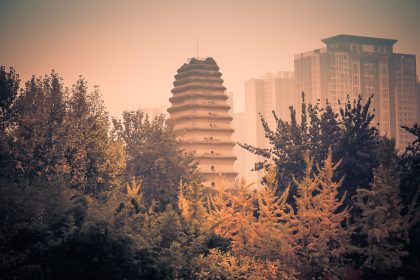 La Petite pagode de l’oie sauvage entre les arbres d’automne, à Xi’an