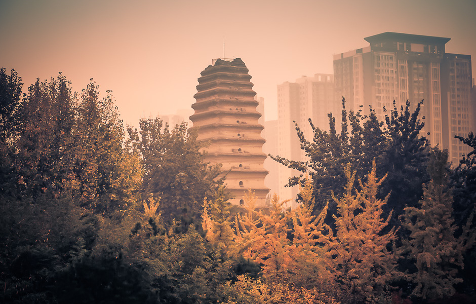 La Petite pagode de l’oie sauvage entre les arbres d’automne, à Xi’an