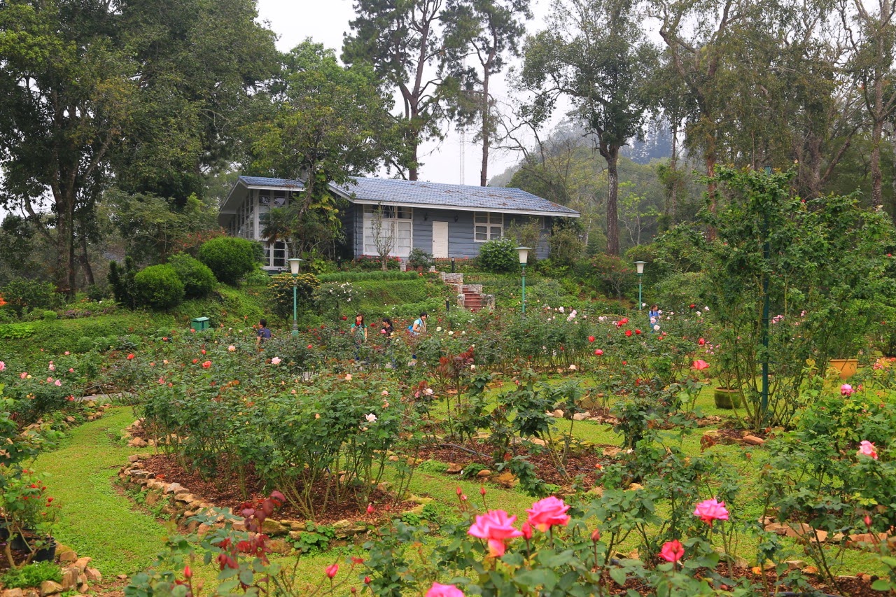 Massifs de fleurs dans le parc du palais Bhubing