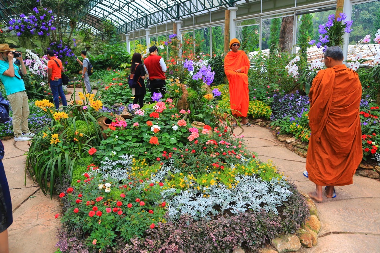 Moines visitant la serre aux fleurs