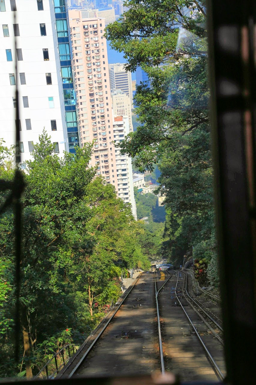 Rails du Peak tram dans la végétation