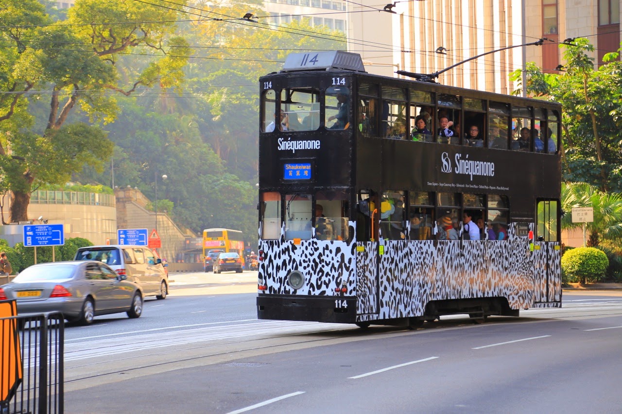 Tramway décoré d’une publicité zébrée