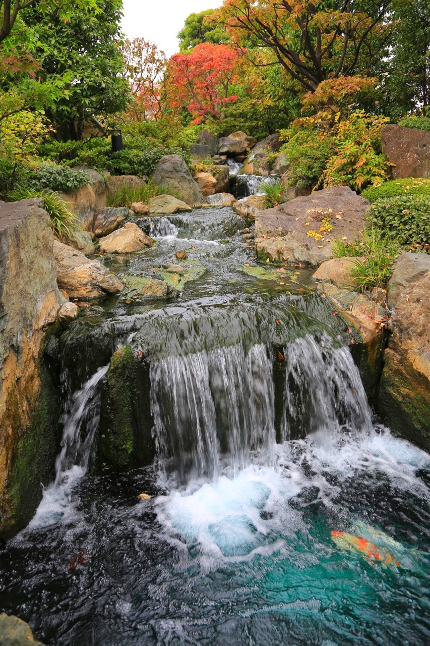 Cascade dans un jardin japonais