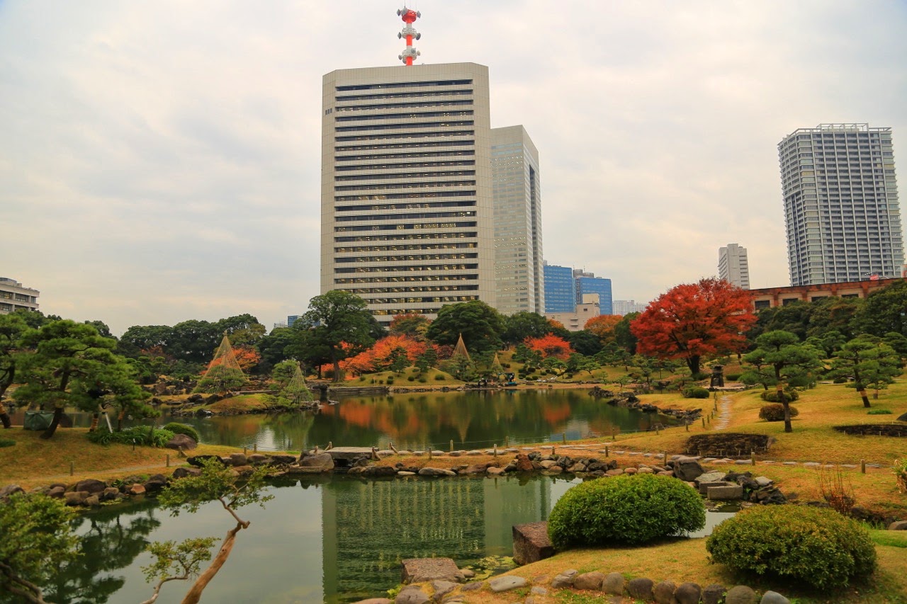 Le jardin japonais au pied des immeubles