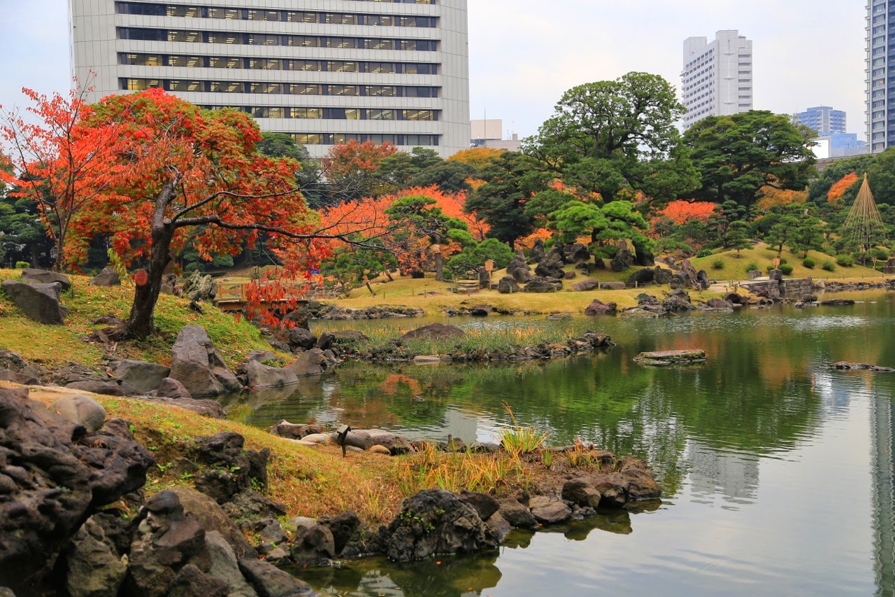 Érables rouges au bord de l'étang du jardin Kyu Shiba Rikyu
