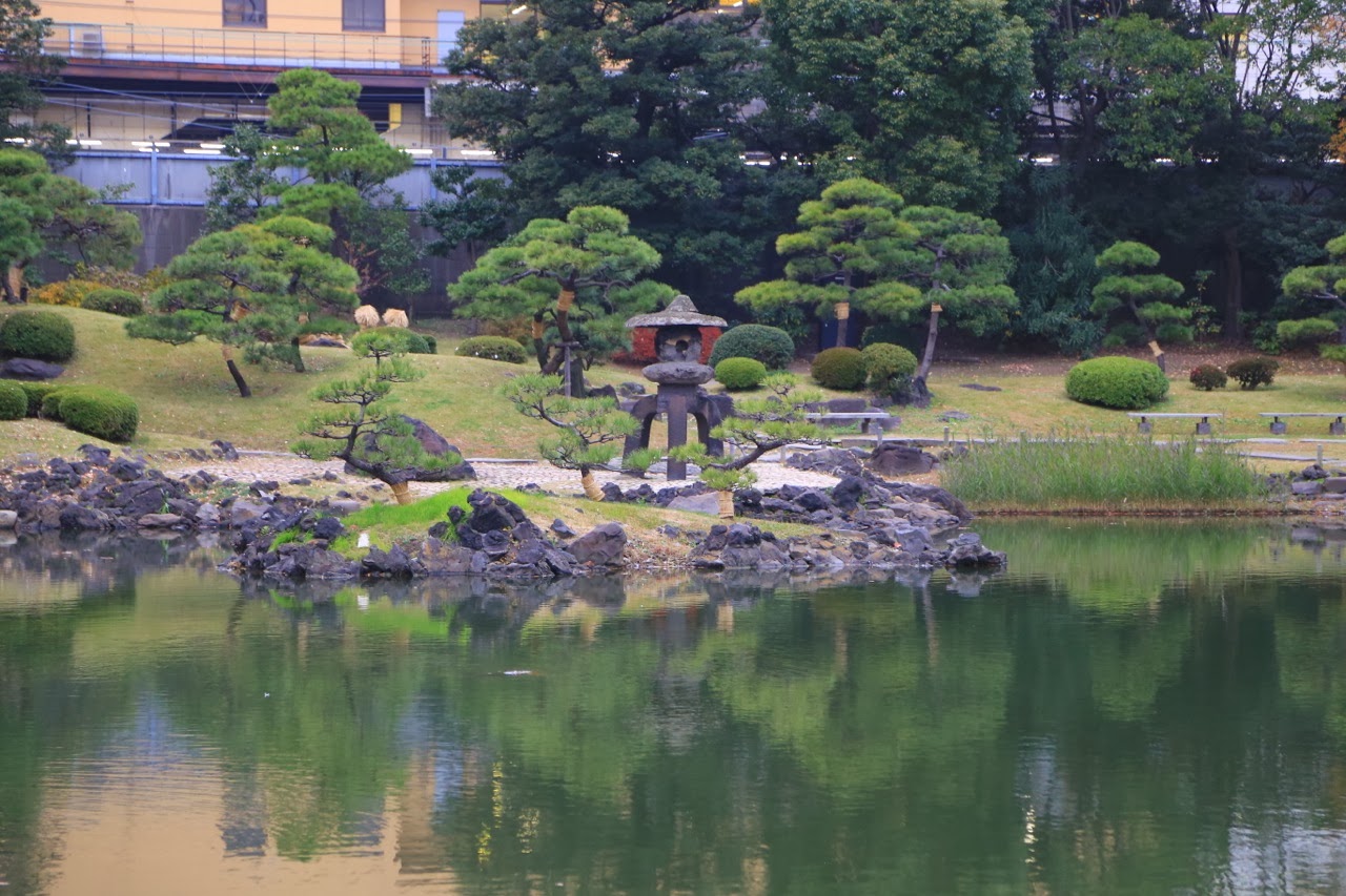 Lanterne de pierre et pins au jardin Kyu Shiba Rikyu