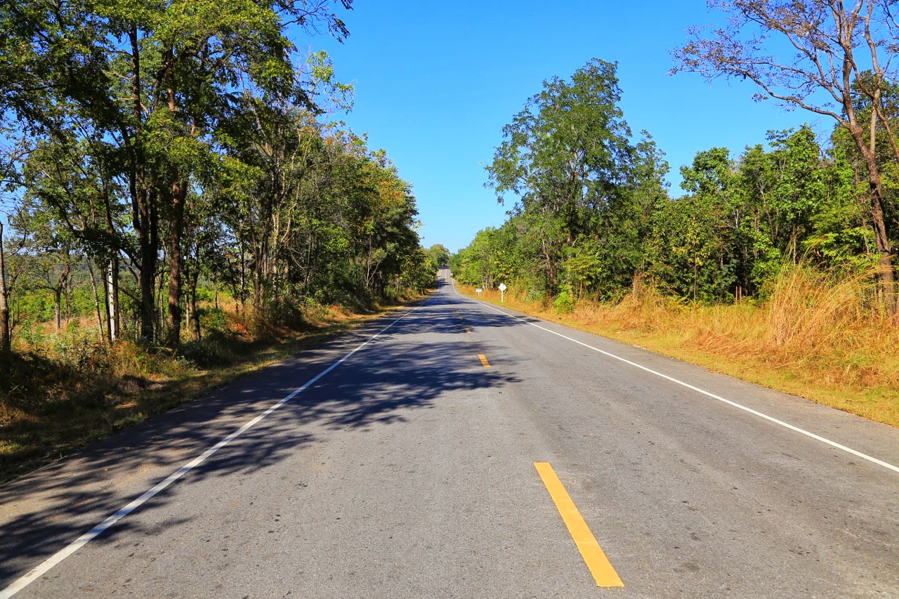 Route déserte bordée d'arbres dans le nord de la Thaïlande