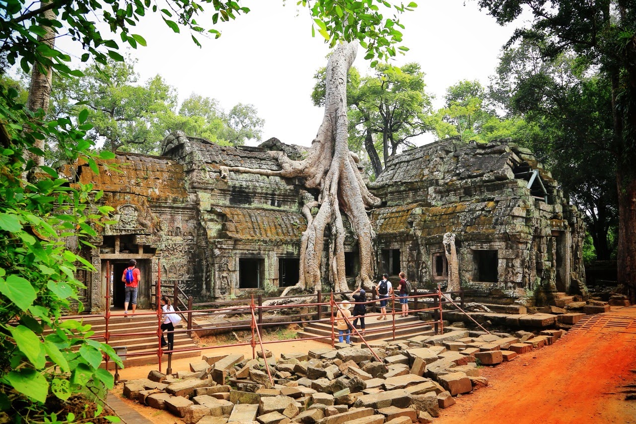 Arbre géant sur les ruines de Ta Prohm