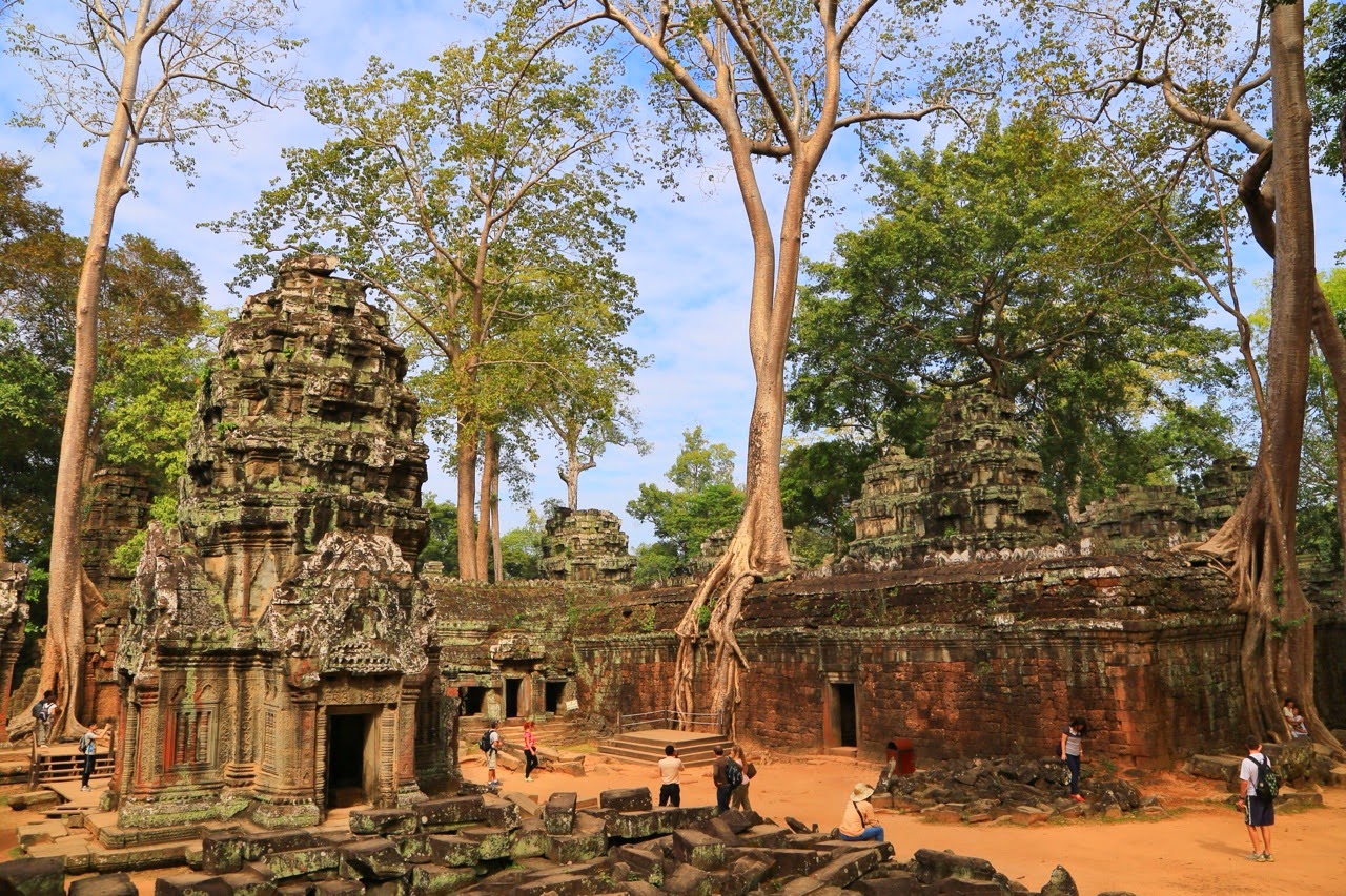 Racines enserrant les murs de Ta Prohm