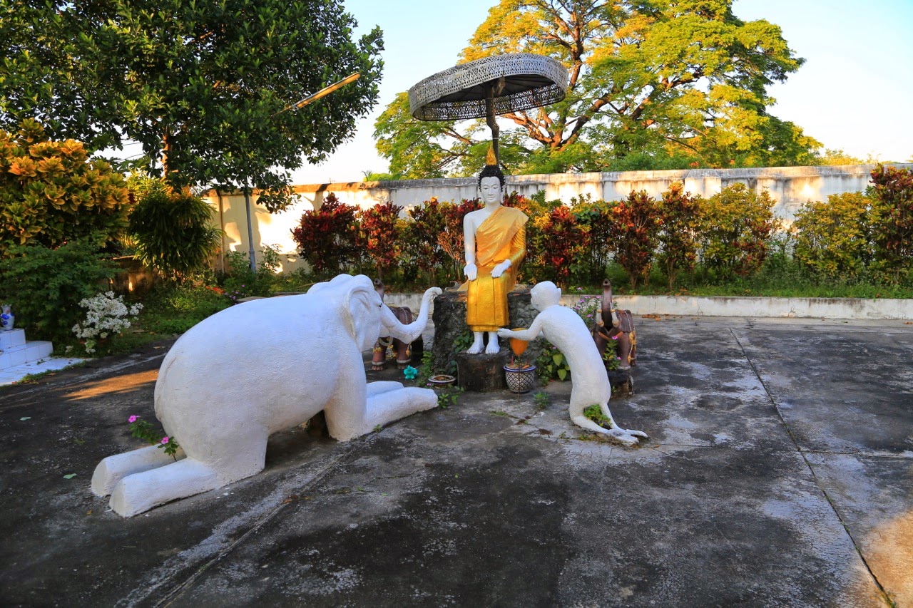 Statues de chats blancs dans la cour du temple