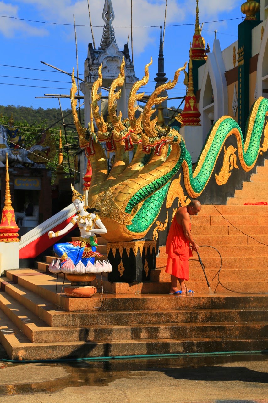 Naga multicolore à cinq têtes