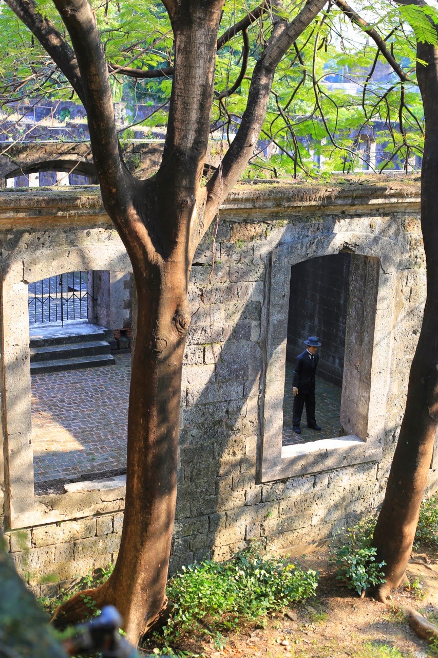 Mur en ruine sous les arbres