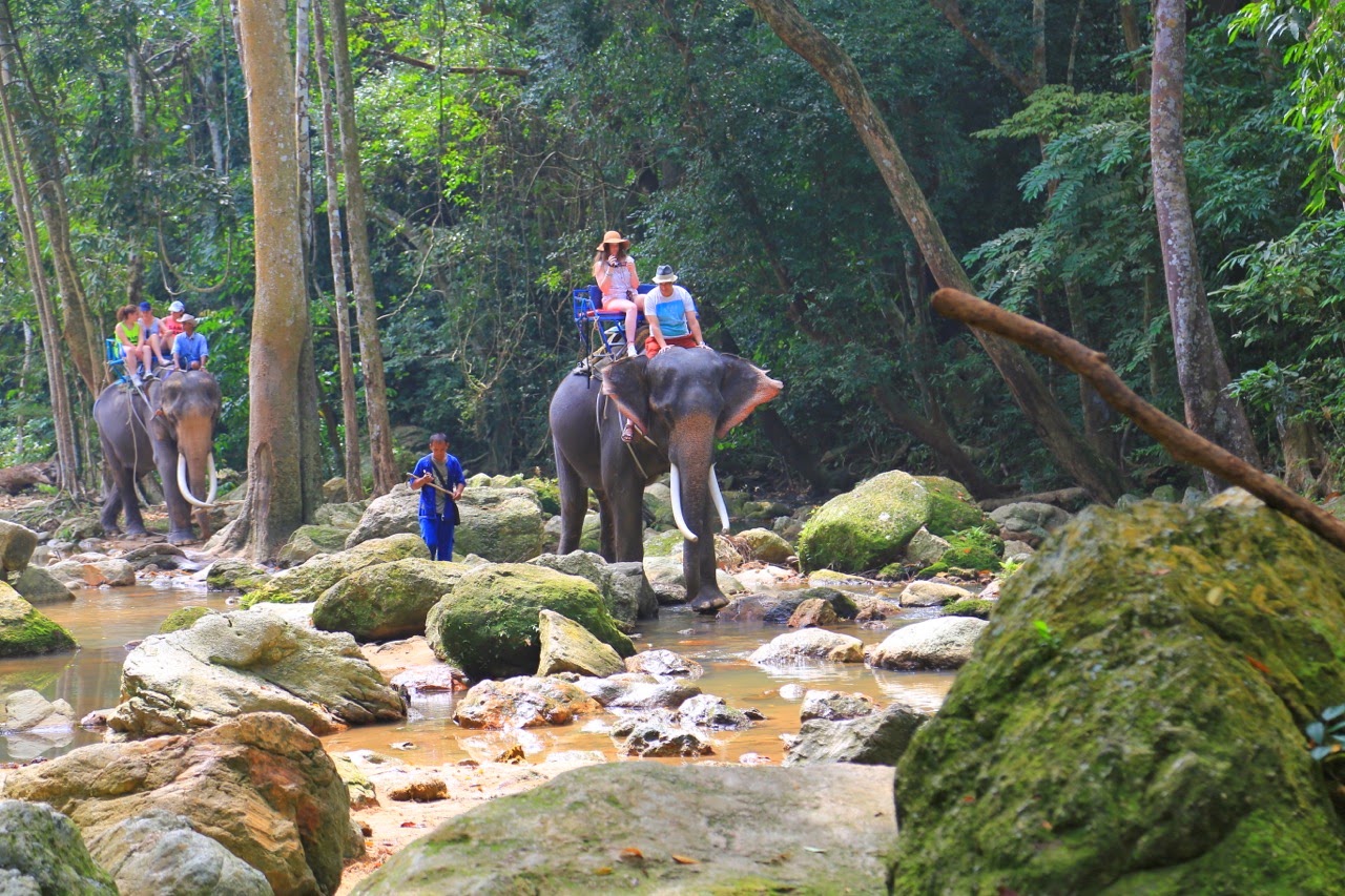 Promenade à dos d'éléphant dans la rivière