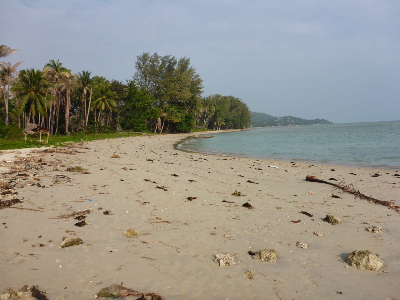 Plage déserte bordée de palmiers