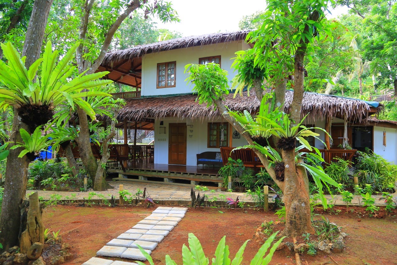 Allée et suites dans la verdure