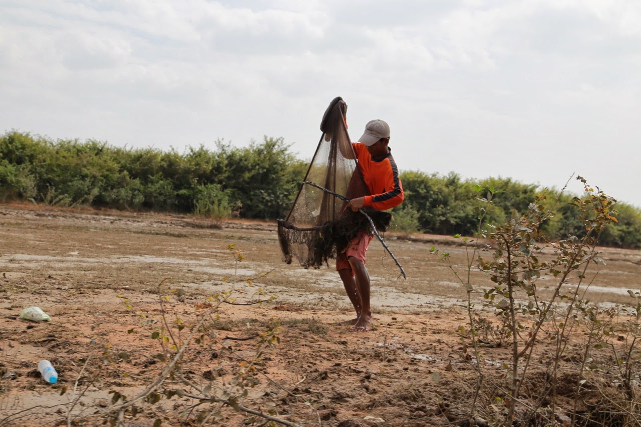 Paysan dans un champ de la campagne cambodgienne