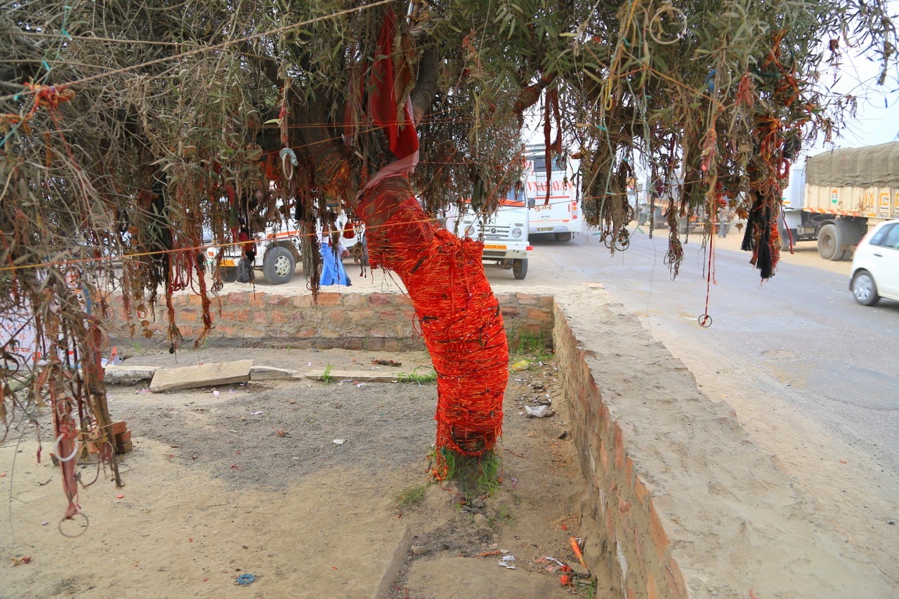 Arbre enveloppé d’étoffes rouges au bord de la route