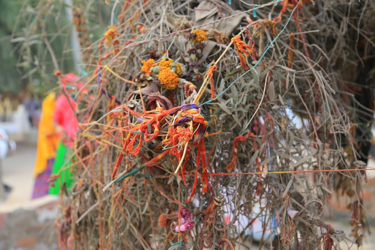 Étoffes et bracelets accrochés aux branches