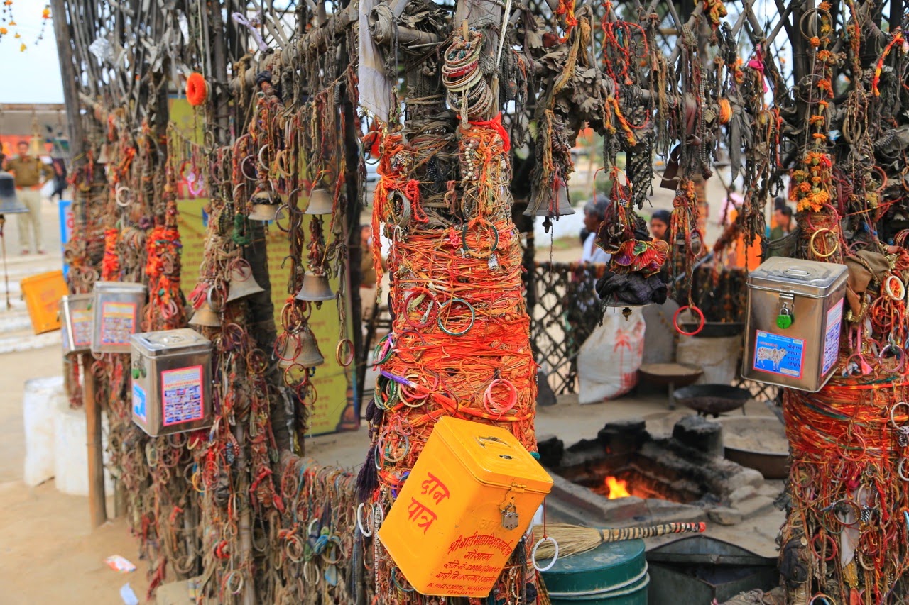 Offrandes accrochées à l’arbre de Bullet Baba