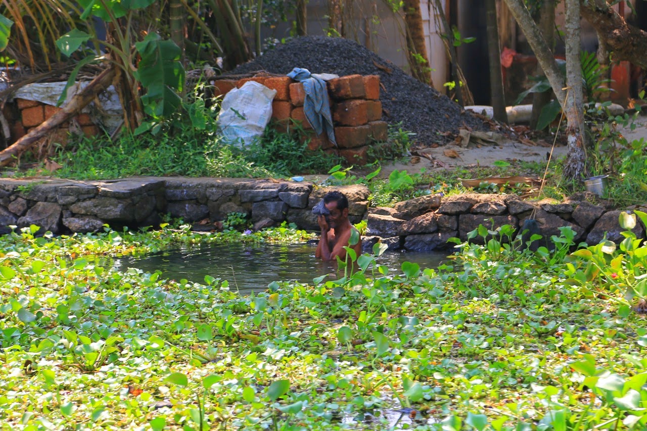 Jacinthes d’eau devant une maison