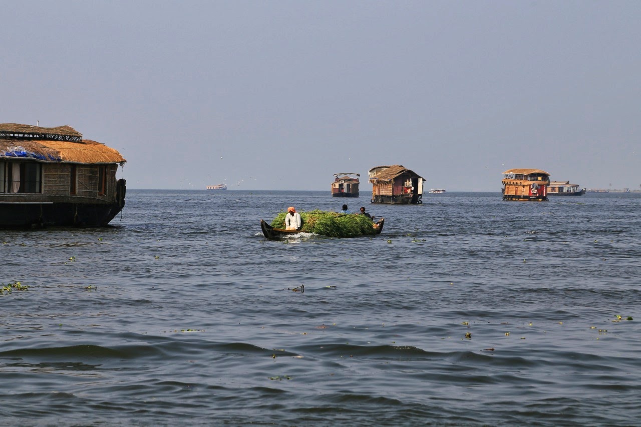 Houseboats sur le lac Vembanad