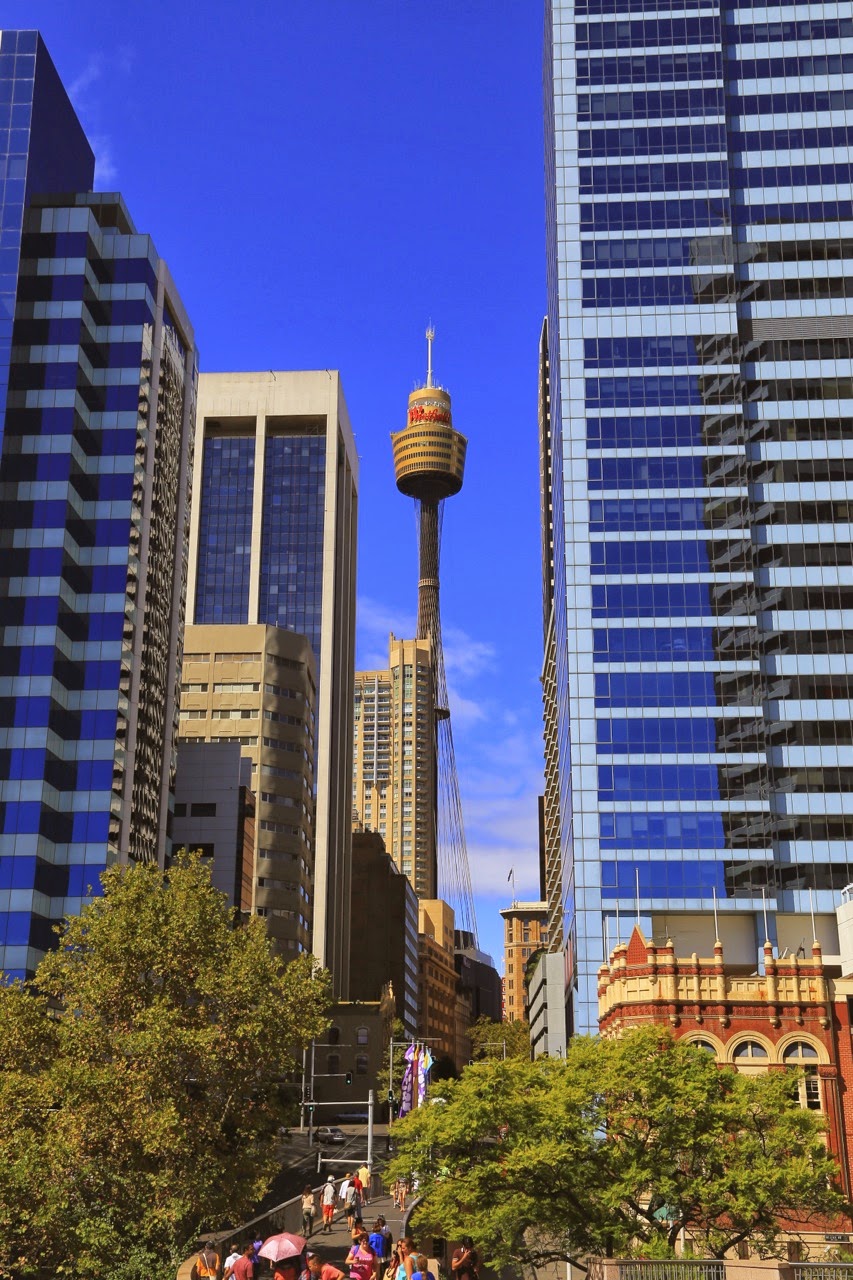 La Sydney Tower entre les gratte-ciel