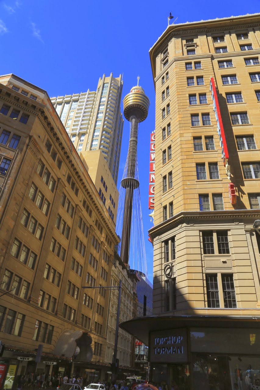 La Sydney Tower vue depuis George Street