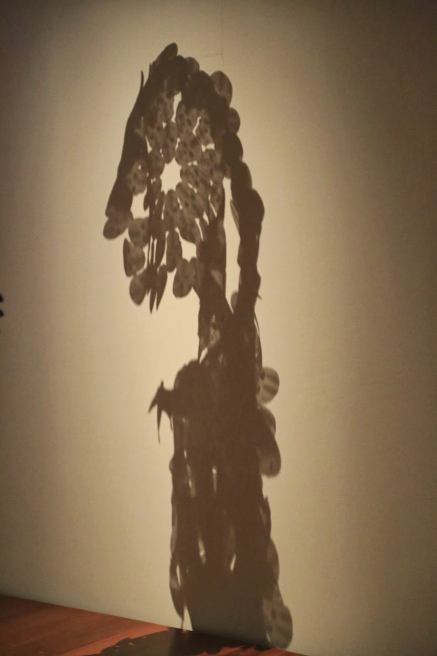 Ombre d’un arbre sur un mur du musée