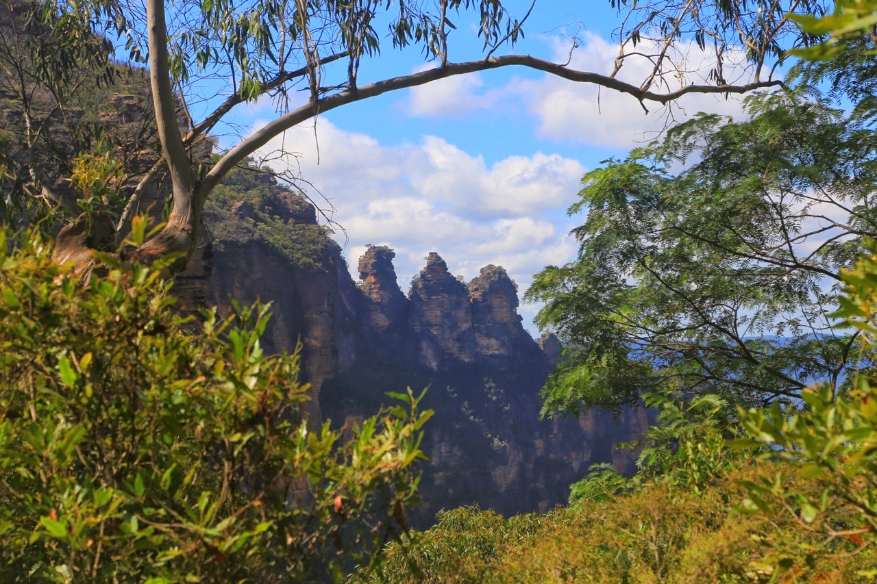 Les Three Sisters entre les eucalyptus