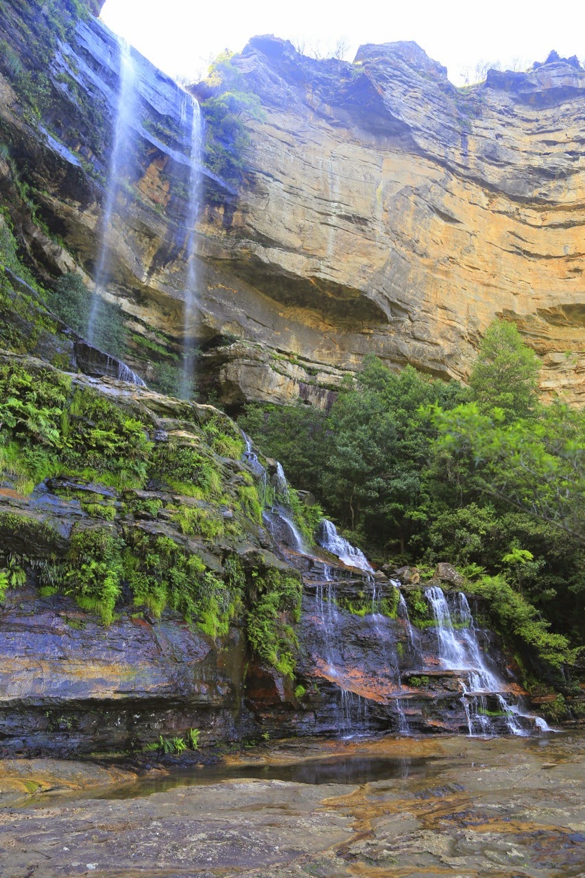 Cascade et fougères sur la paroi