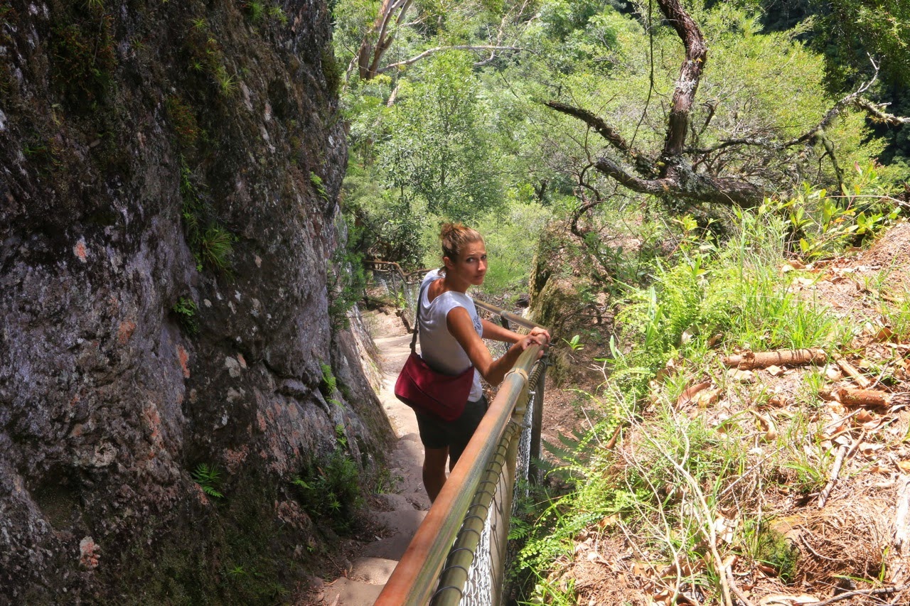 Sentier en corniche dans les Blue Mountains