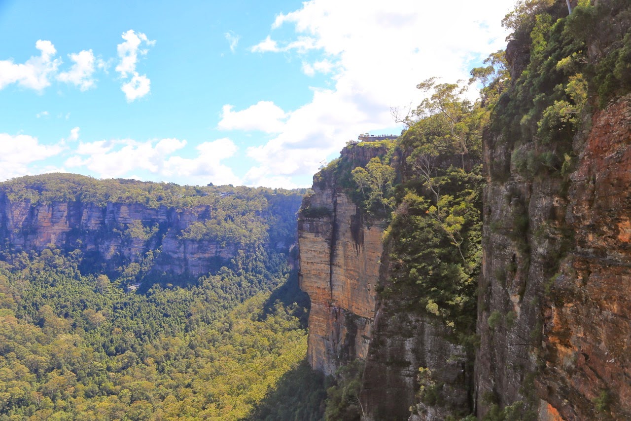 Falaises et vallée boisée des Blue Mountains