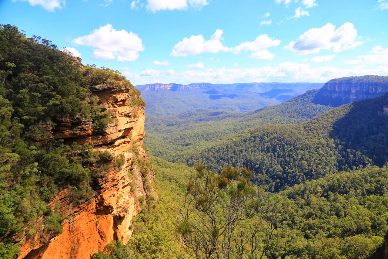 Falaise et vallée près de Wentworth Falls
