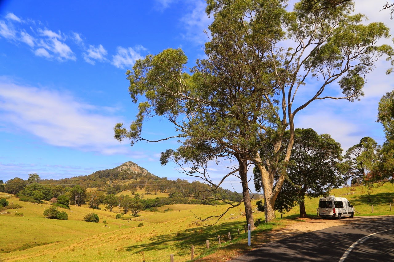 Eucalyptus et montagne au loin