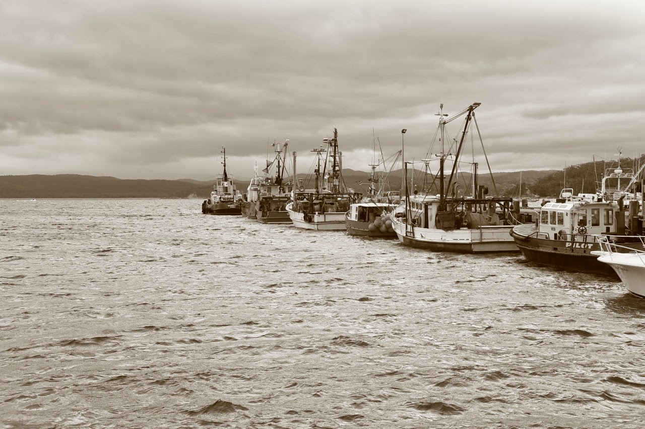 Bateaux de pêche au port en noir et blanc