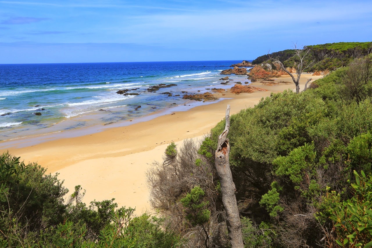 Plage de surfeurs bordée de dunes à Cape Conran