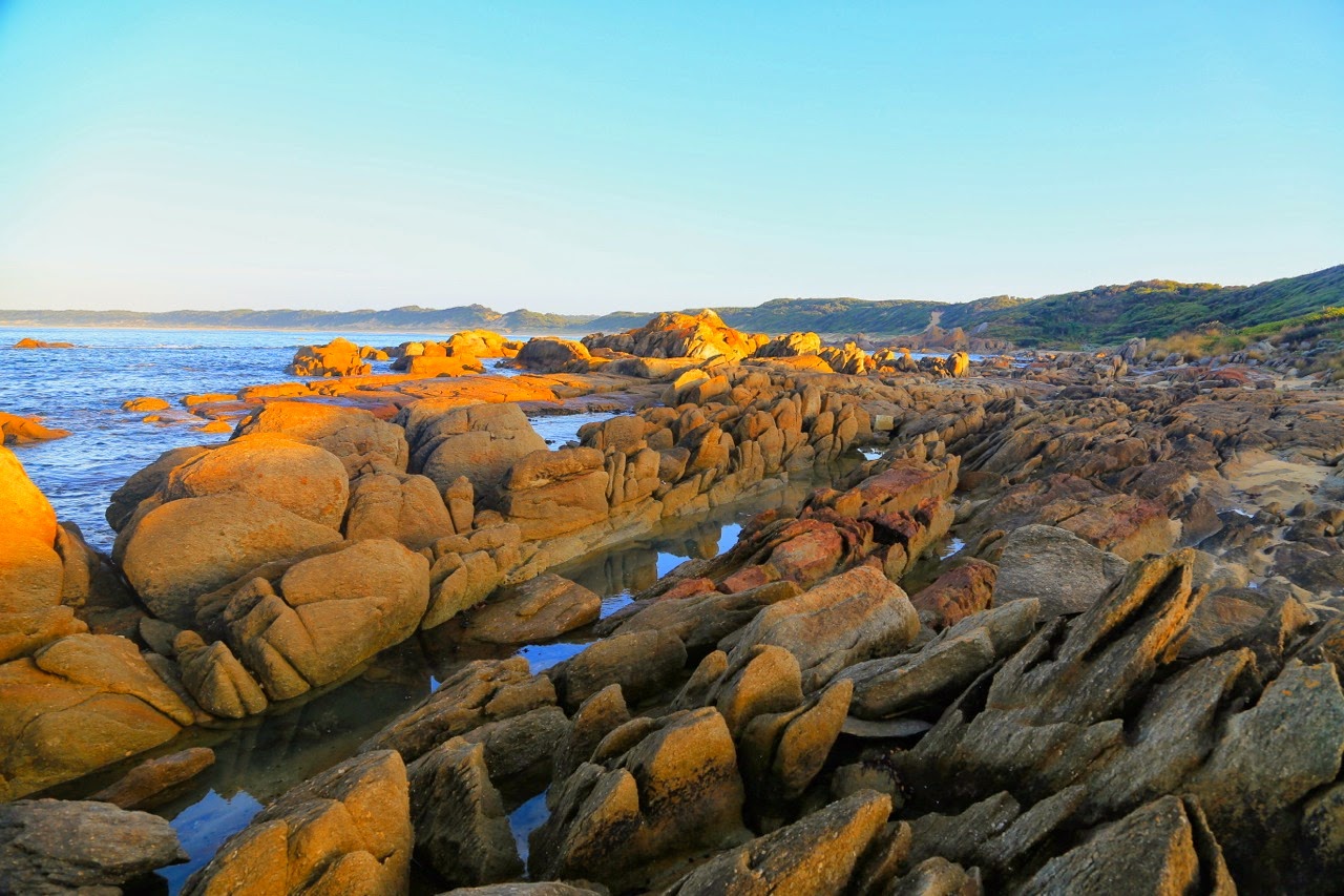 Côte de rochers ocre au petit matin