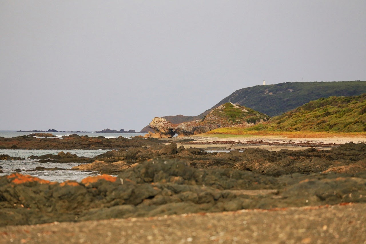 Bord de mer désolé sous un ciel gris