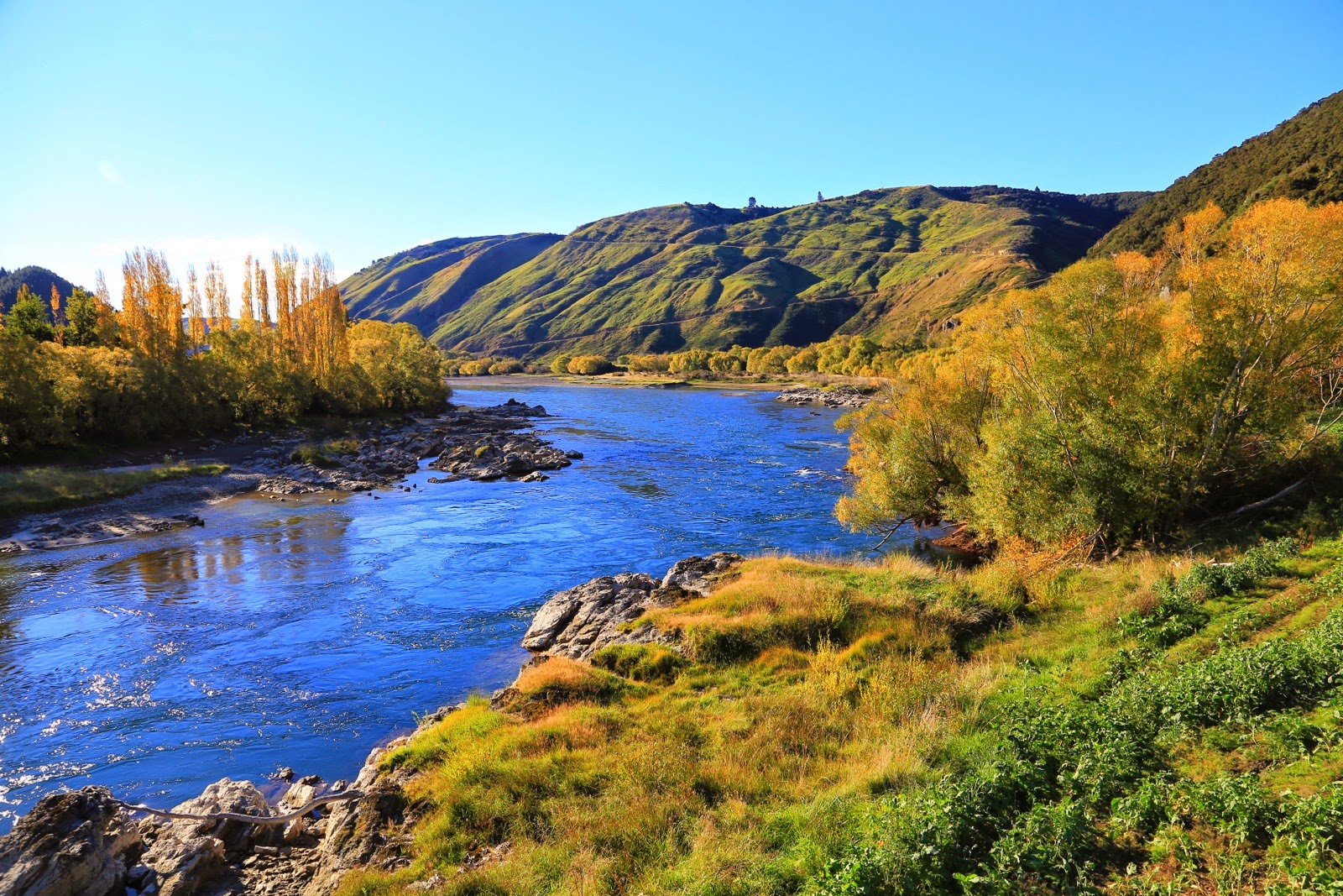Rivière bleue et arbres d’automne