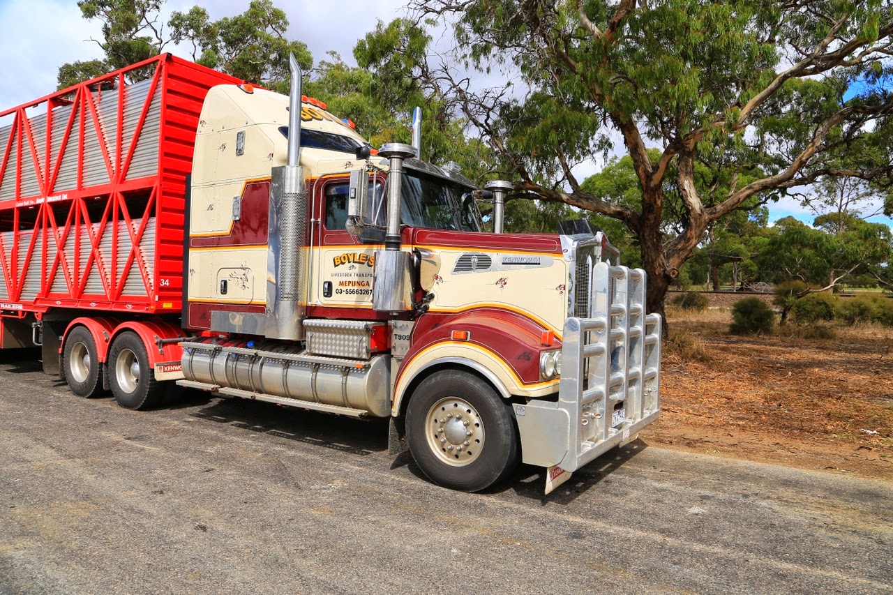 Camion à l’américaine avec remorque à bétail