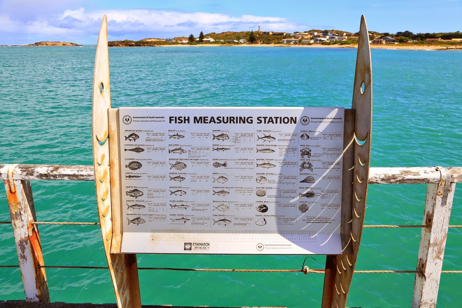 Panneau des tailles de poissons sur le ponton