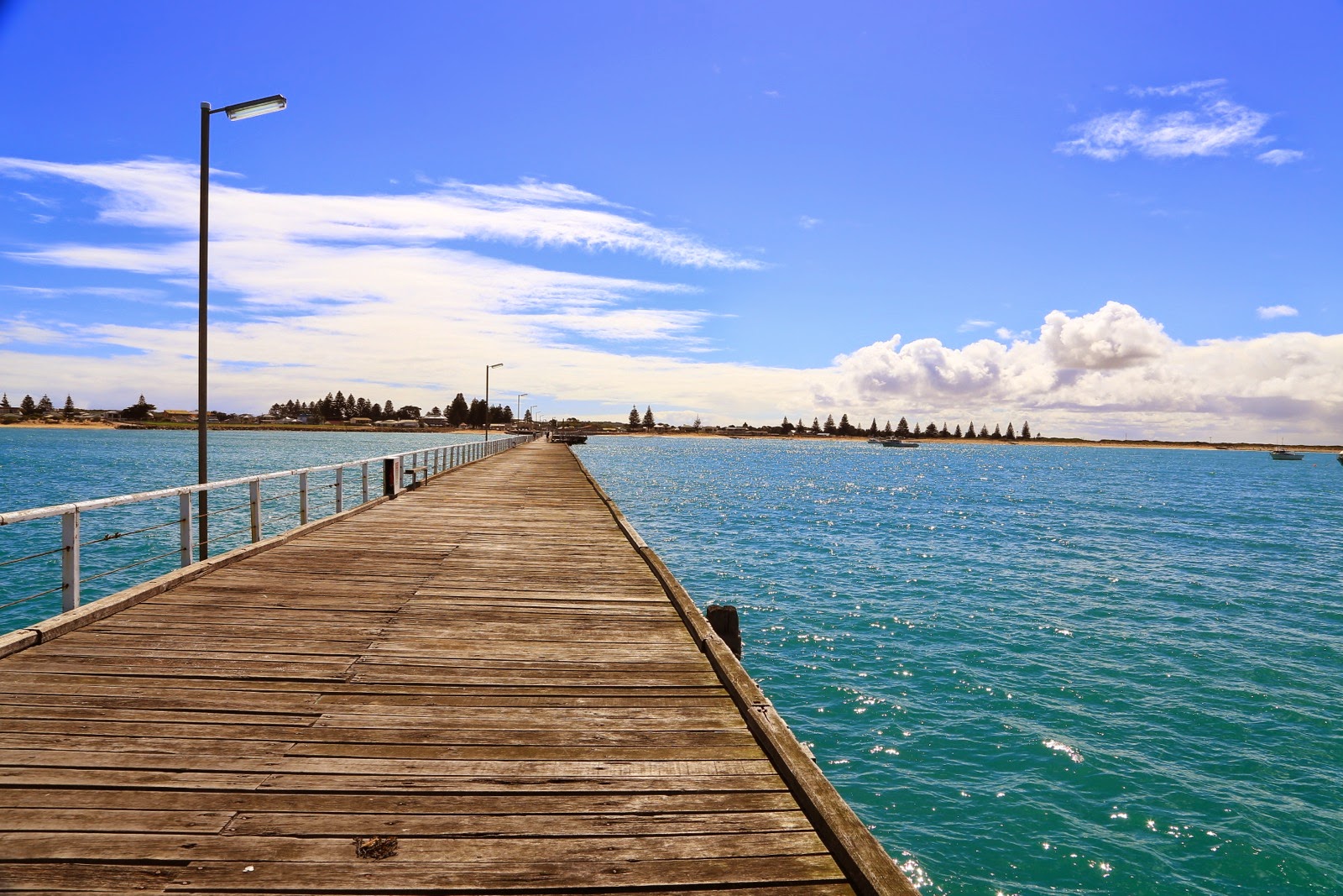 Planches du ponton de Beachport