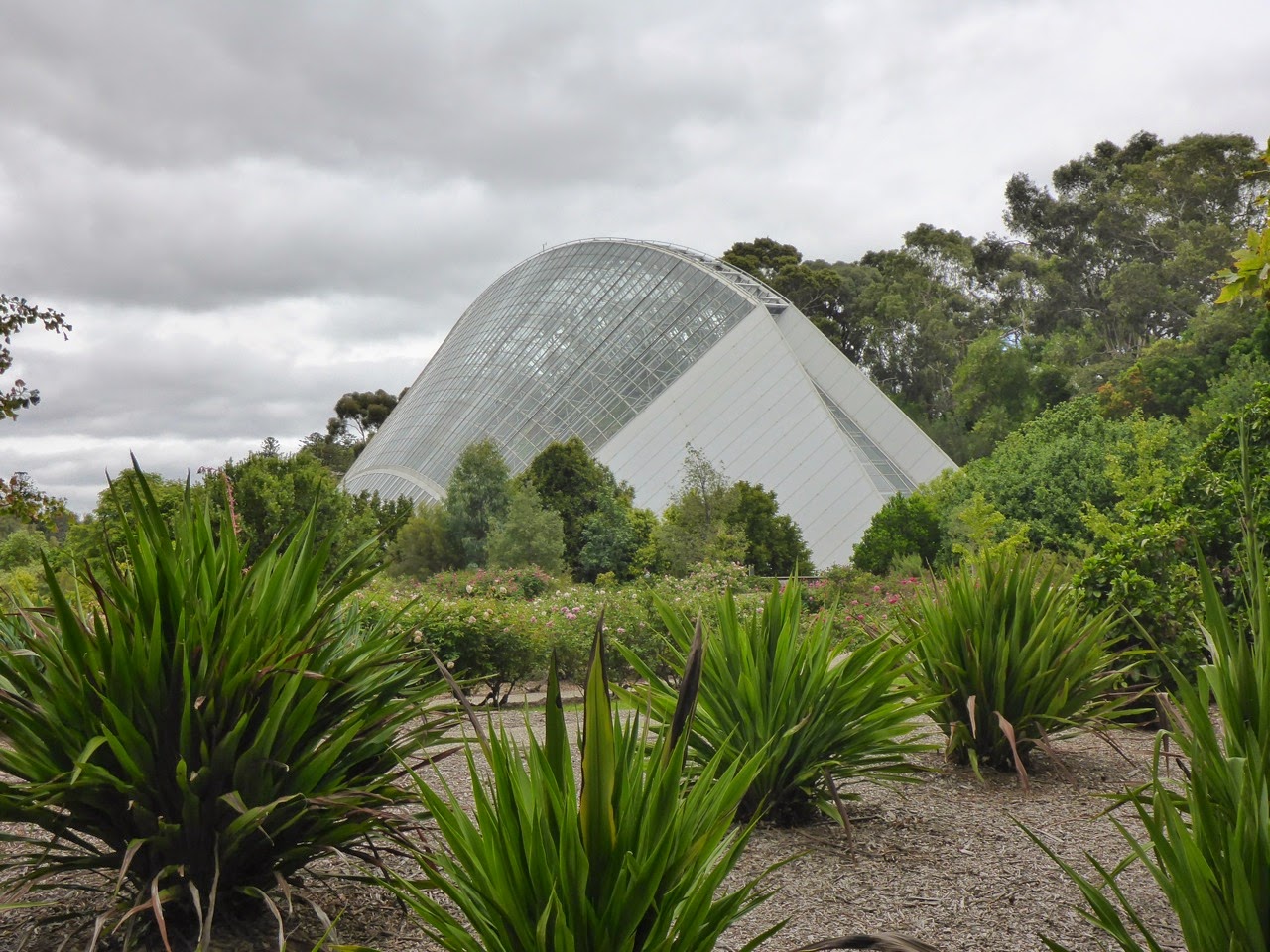 Serre en verre du jardin botanique d’Adélaïde
