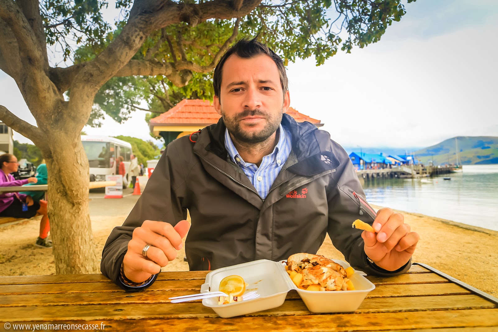 Blue cod fish & chips au bord de la baie