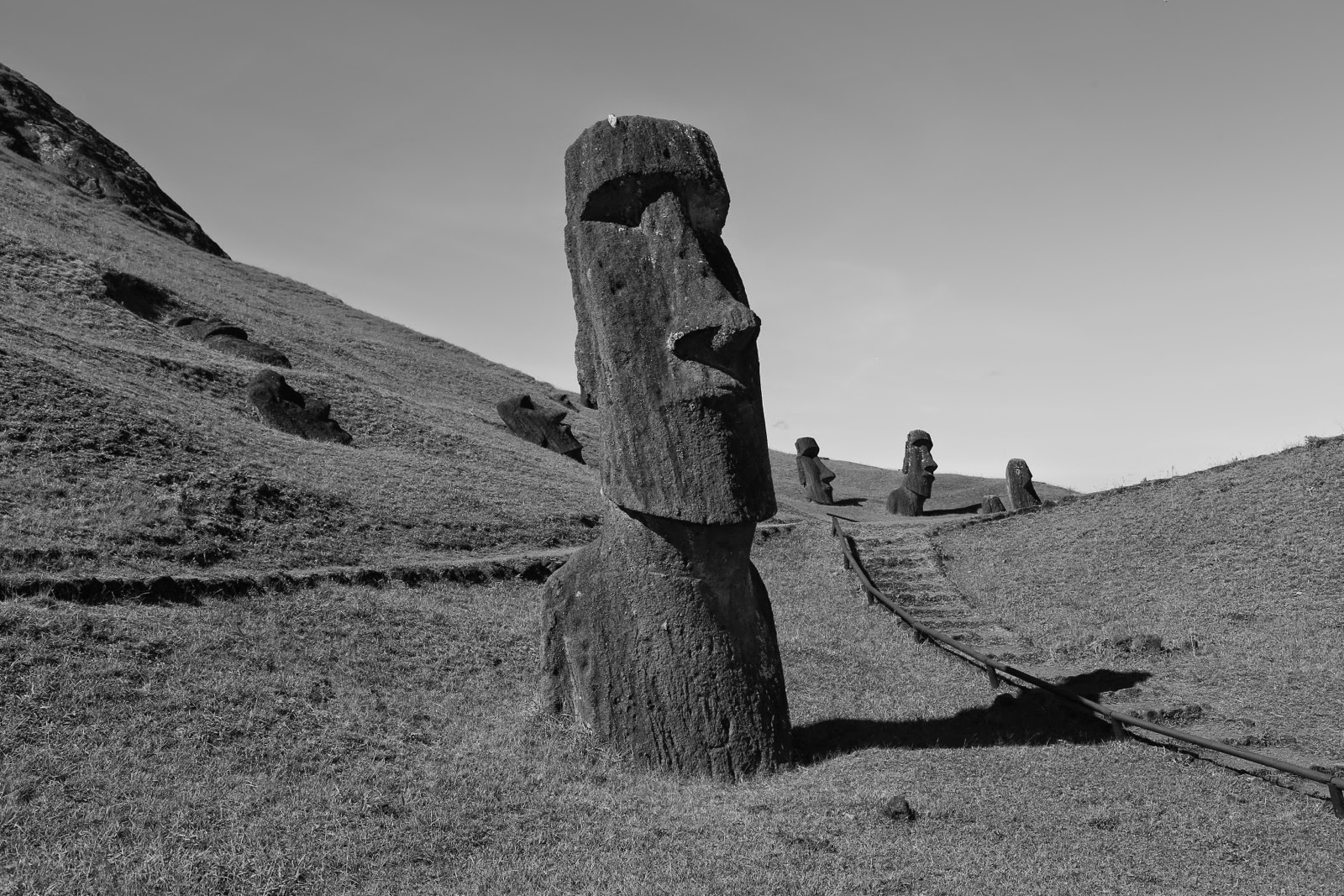 Moai du Rano Raraku en noir et blanc