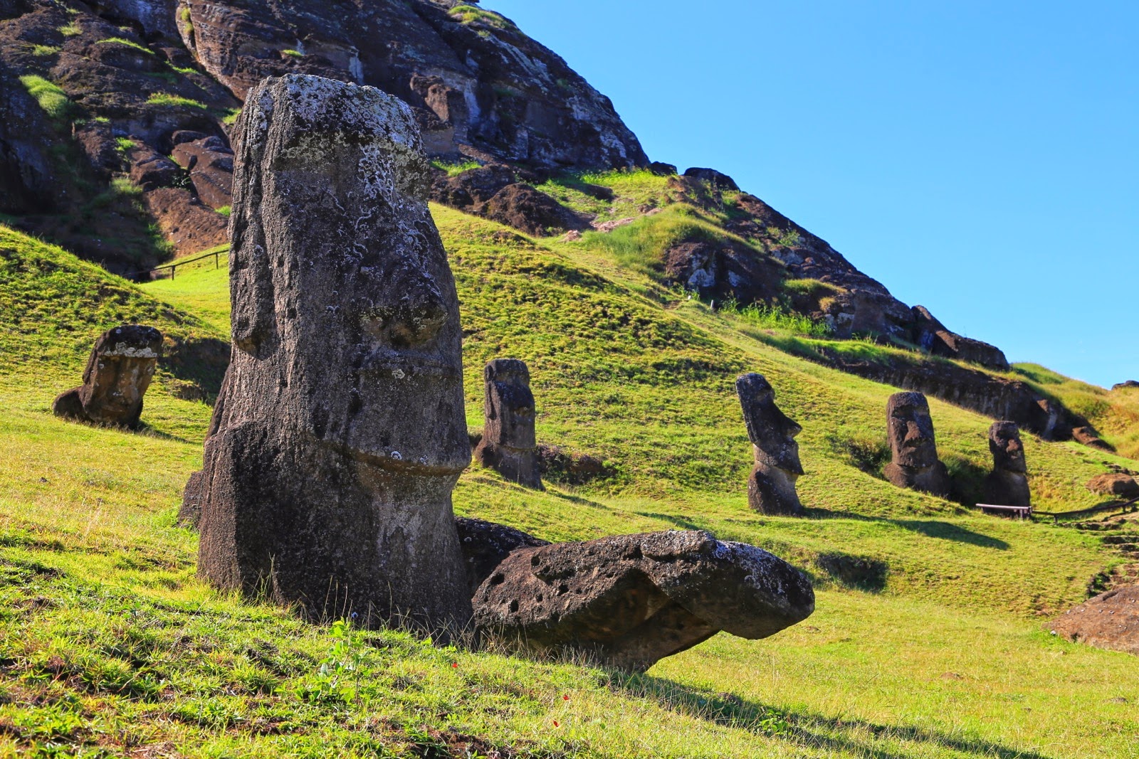 Moai et colline verdoyante