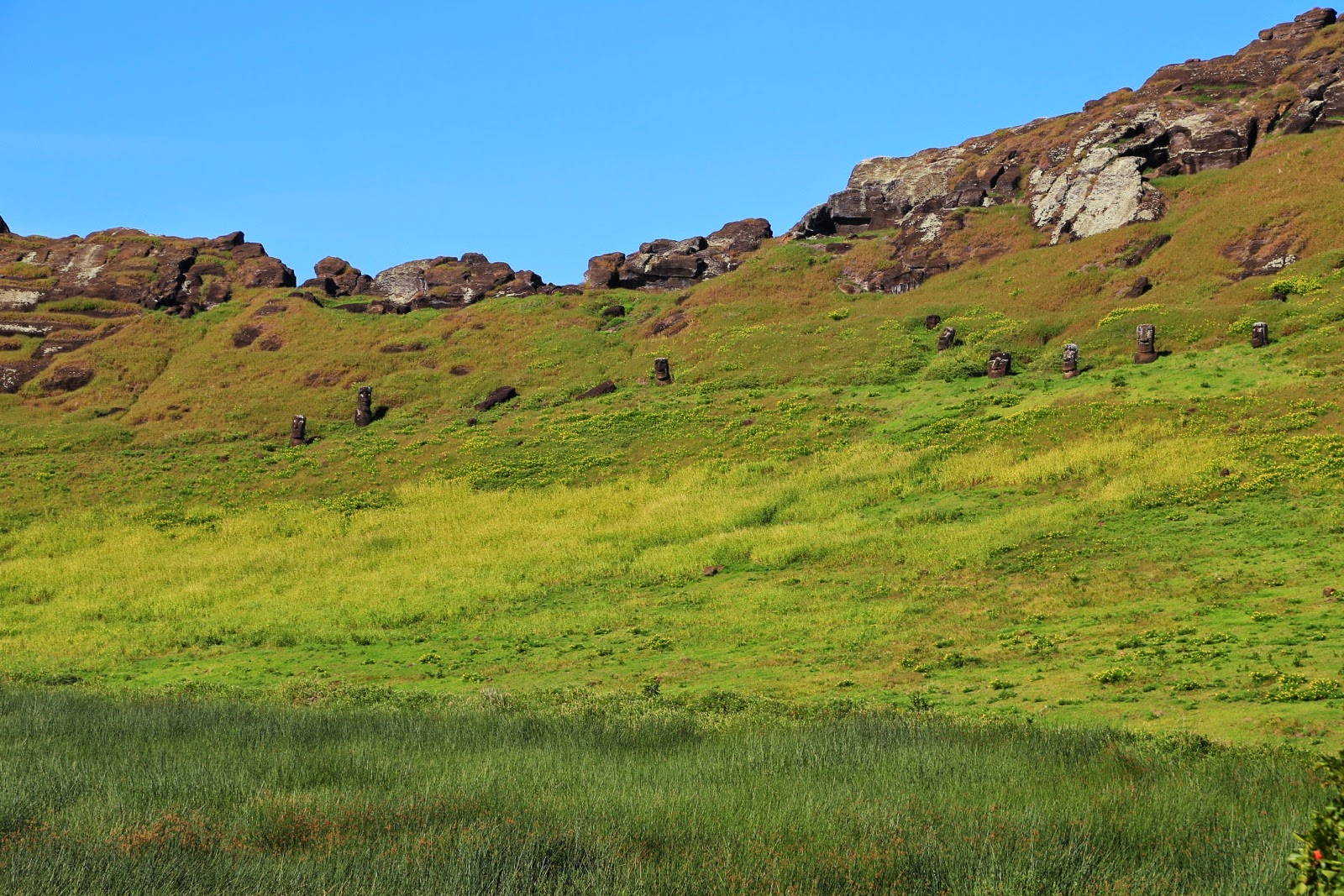 Intérieur du cratère du Rano Raraku